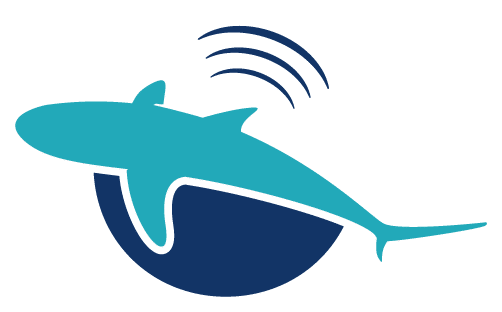 Globally coordinated acoustic aquatic animal tracking reveals unexpected, ecologically important movements across oceans, lakes and rivers