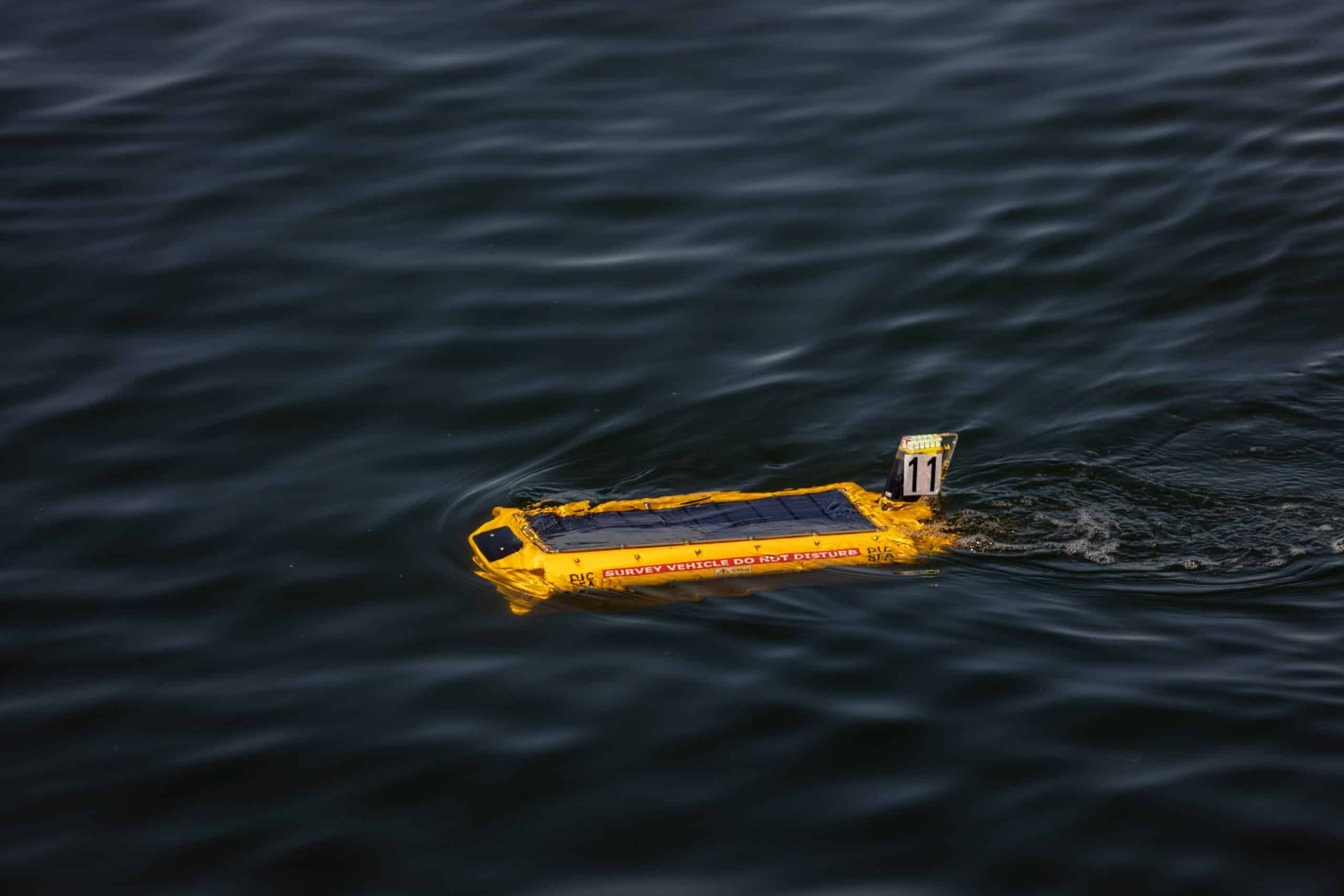 Accelerating Ocean Innovation: COVE’s Ocean ScaleUp Accelerator Program