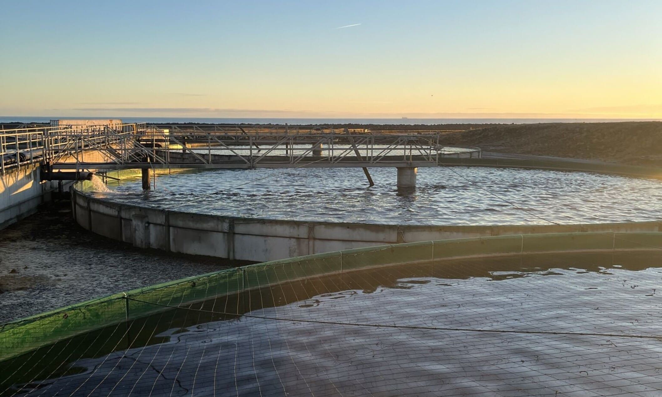 Iceland fish farmer signs three-year deal for AI feeding software